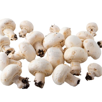 Шампиньоны свежие 500 г - купить в Исмаиле